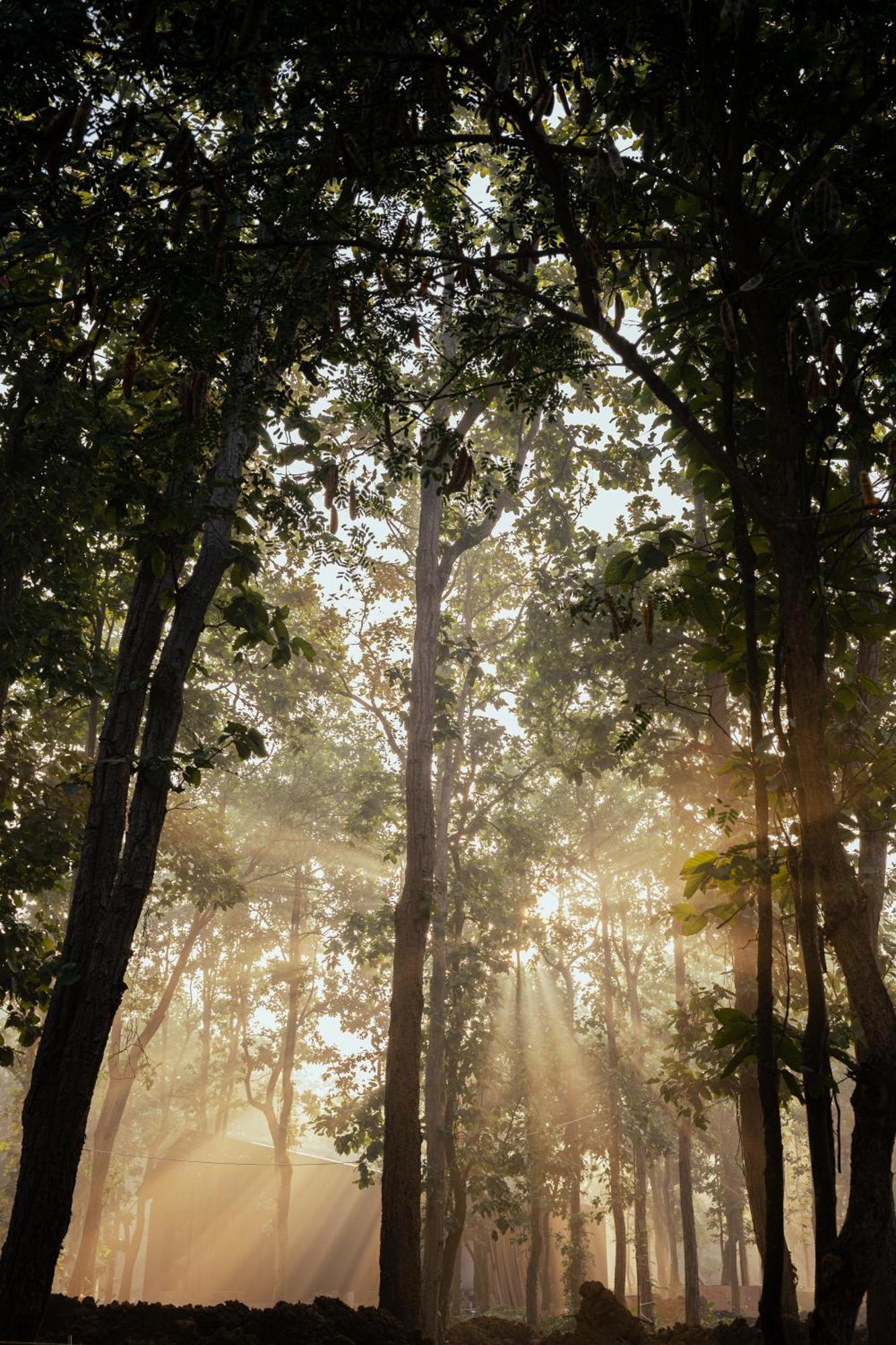 Hotel Sonar Bangla Joypur Forest エクステリア 写真